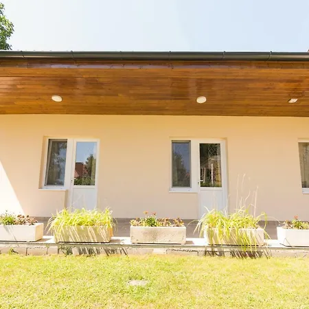 Villa Viktoria Nyíregyháza Exterior foto